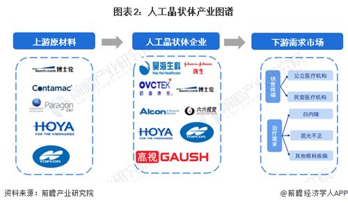 2024年人工晶狀體行業(yè)產(chǎn)業(yè)鏈全景梳理及區(qū)域熱力圖